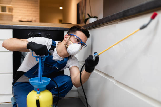 Best Emergency Pest Control  in Salem, NJ