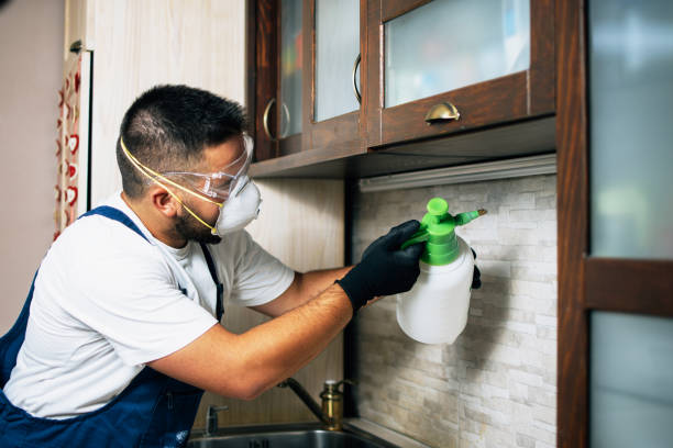 Best Wasp Removal Services  in Salem, NJ